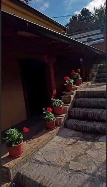 Apartmani Zapis Vrdnik Εξωτερικό φωτογραφία